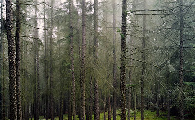 © Yannick Demmerle