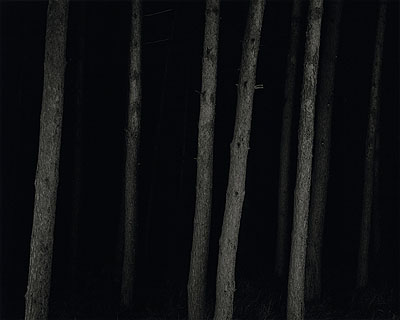 © Yannick Demmerle