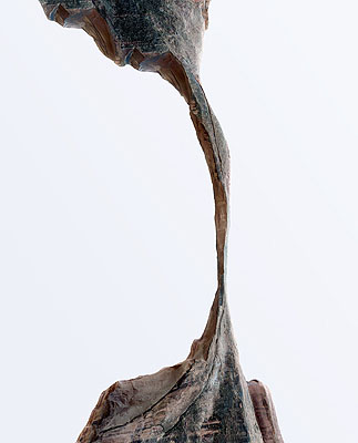 Landscape 7/037, 2009, Digital-C-Print, 200 x 162 cm, edition 8 + 2 AP