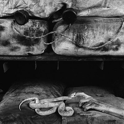 © Roger BallenBite, 2007from Boarding HouseSilver gelatin on fibre paper80 x 80cm, edition of 10