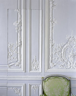 ROBERT POLIDORIBoiserie detail by the Brothers Rousseau Cabinet intérieur de Madame Victoire Corps Central - R.d.C. Chateau de Versailles, 2007
