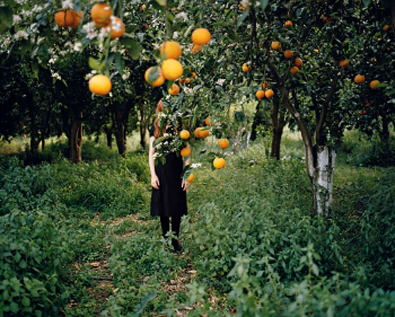 Anni Leppälä, Orange tree, 2008