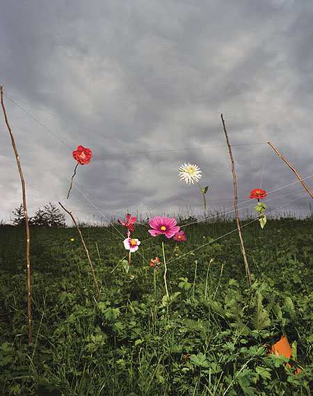 Arrangement #15, (Herrhausen), 2008. Courtesy of 303 Gallery, Nueva York y Modern Art, Londres. © Collier Schorr Museu Colecção Berardo, Lisbon