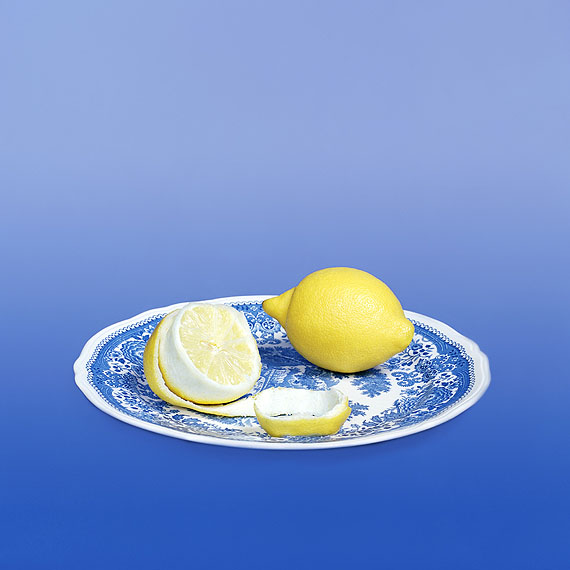 Dutch Plate, 2010Petrina HicksFrom Every Rose Has Its ThornLambda Print85 x 85cmEdition of 8