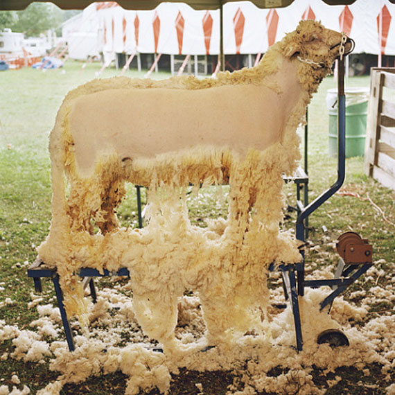 Dan Nelken "Half Naked" aus der Serie "Till The Cows come Home"