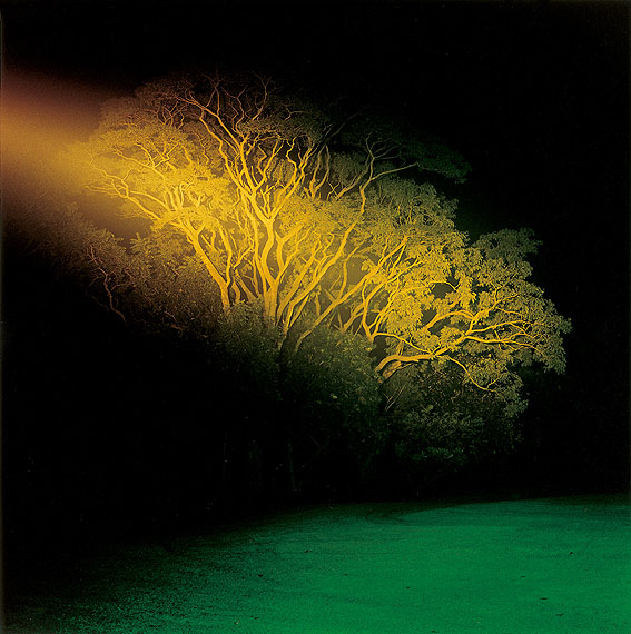 Dayanita Singh from Dream Villa, 2010