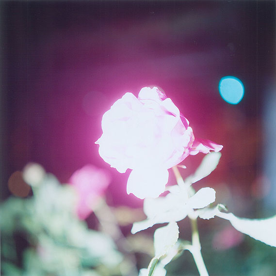 Rinko Kawauchi, Untitled, 2009©Rinko Kawauchi, courtesy Galerie Priska Pasquer, Cologne