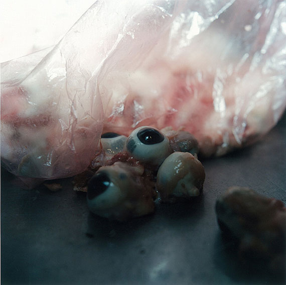 Rinko Kawauchi, Untitled, 2009©Rinko Kawauchi, courtesy Galerie Priska Pasquer, Cologne