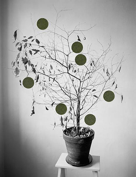 29 Days, from the series Grey DiaryC-print / Aluminium 2008 © Niina Vatanen / courtesy Gallery TAIK