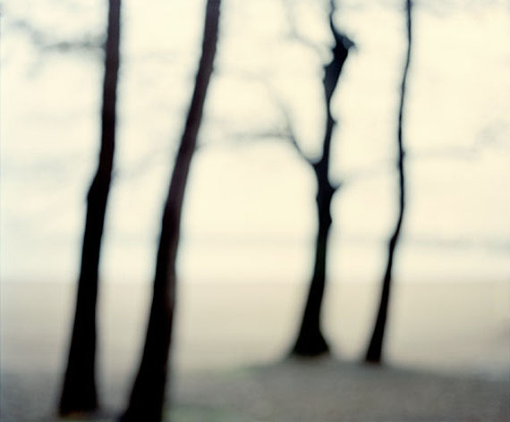 © Sandra Kantanen
