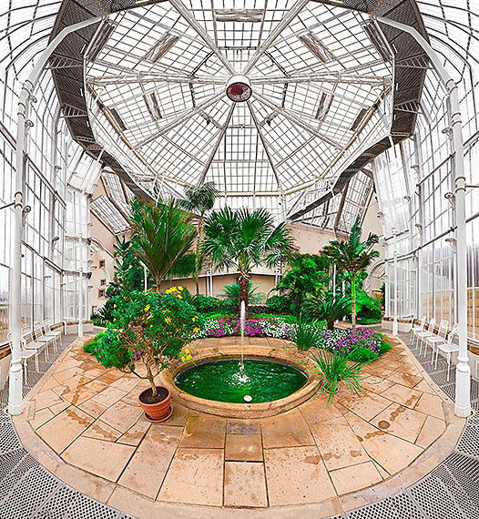 Raïssa Venables, Pillnitz, Palmhouse, 2010, C-Print / Diasec