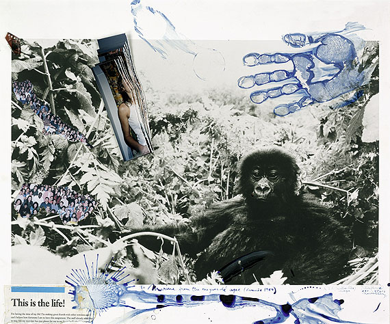 Peter Beard, 