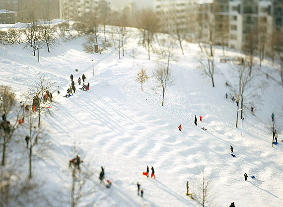 Miklos Ga&aacute;l Hillside, 2010, C-Print, 130 x 162 cm, Ed.5 + 2AP