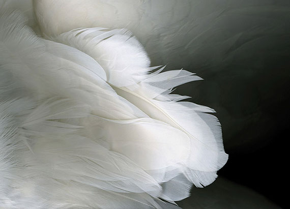 Edgar LeciejewskiSchwarzenberg #19, 24. Jan 2008, 23:44 (Ausschnitt), 2008, C-Print, Sächsischer Kunstfonds, Staatliche Kunstsammlungen Dresden