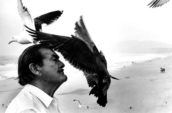 © Just Loomis, Birdman