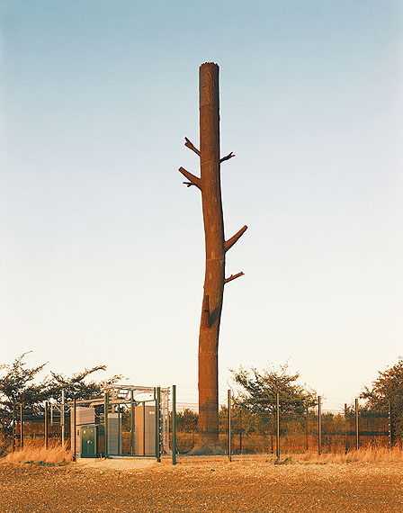 Robert Voit, Hundon, Haverhill, Great Britain, 2004, from the series: New Trees, C-print &copy; M&uuml;nchner Stadtmuseum und Robert Voit