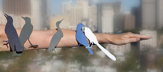 Anne FerranBirds of Darlinghurst (dollarbird, Australasian pipit, little bittern, indeterminable, emu wren)series: Birds of Darlinghurst, 2011inkjet prints38 x 85cmeditions of 5 + 2 AP