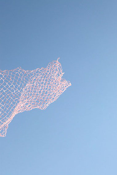 Anne FerranDoubtful Thrushseries: Songbirds are everywhere, 2011inkjet print100 x 66cmedition of 5 + 2 AP