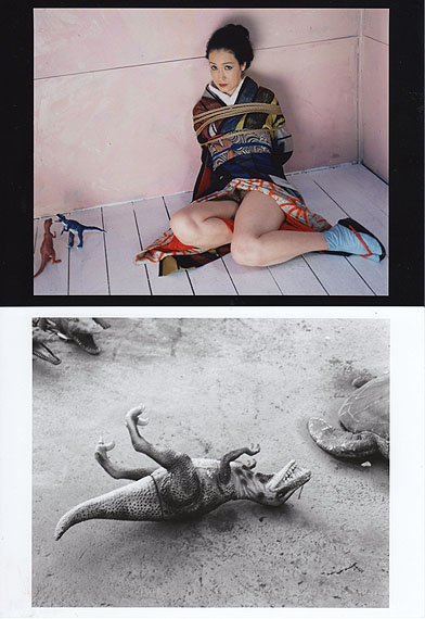 © NOBUYOSHI ARAKI