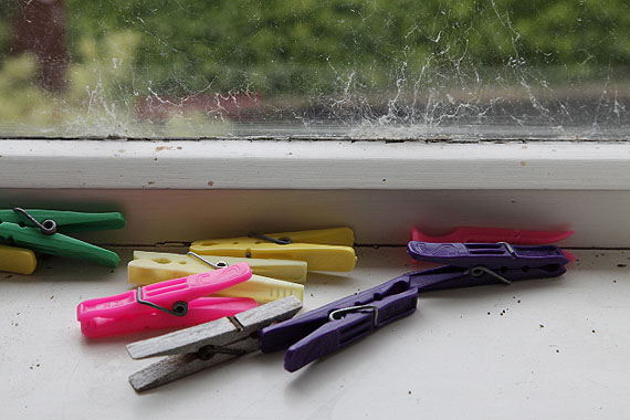 Jessica Backhaus