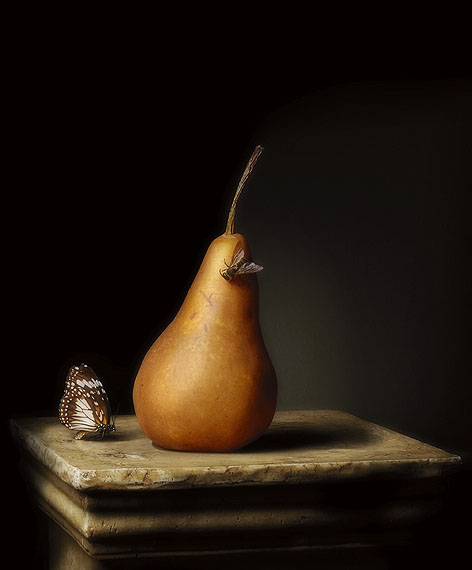 Robyn StaceyPresentation Pear, 201190 x 74cmtype C printedition of 5 + 2 AP