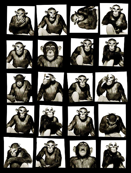 © Albert Watson