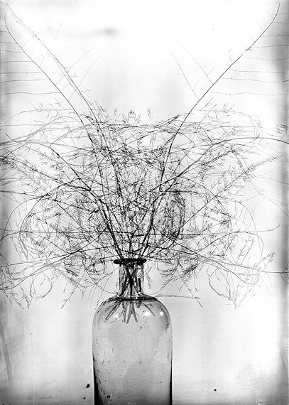 © Walter Schels