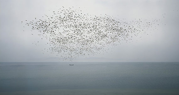 Chi Peng: 