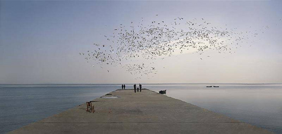 Chi Peng: 