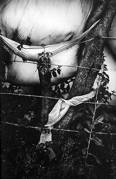 French Kiss 3, 2007&copy; Anders Petersen 