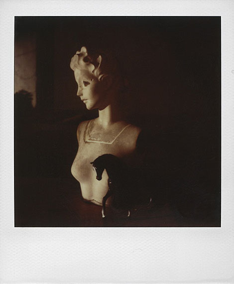 Die Polaroids Die Polaroids