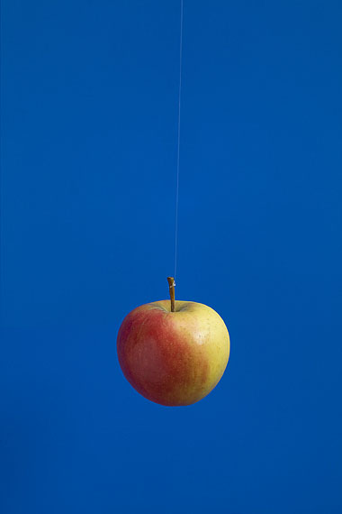 Still/Life Still/Life