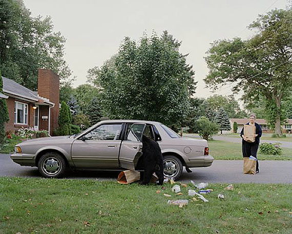 Groceries, 2007 / 2008 © Amy Stein, Courtesy Robert Koch Gallery, San Francisco