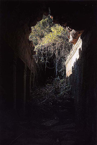 Ryuji Miyamoto, Preah Khan, 1991 © Ryuji Miyamoto 1991 courtesy of TARO NASU