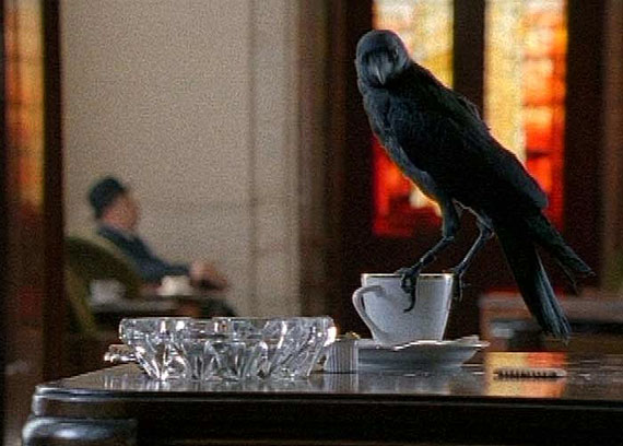 rencontres internationales hkw