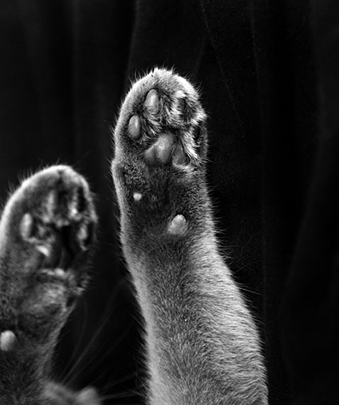 &copy; Julia KisinaAgainst a policy"Brothers Kachinsky"