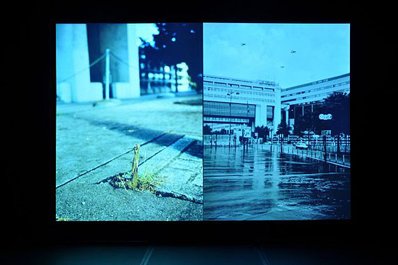 Jean-Luc MoulèneLa Vigie (work in progress), 2010, diaporama, plants, photo printsdimensions variable, Produced by Sharjah Art FoundationInstallation view, photo by Amina Khansaheb