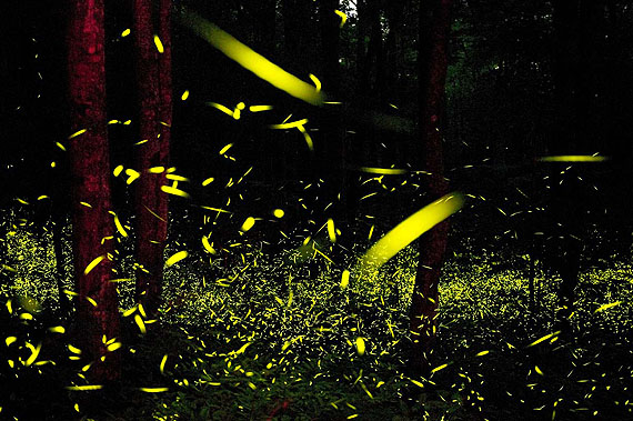 Godspeed #3, 2010  @ Katrien Vermeire