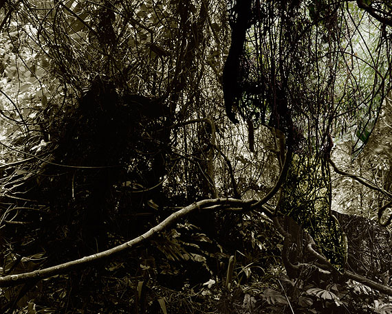 Caio ReisewitzManacapuru, 2011c-print, dia sec180 x 225 cm