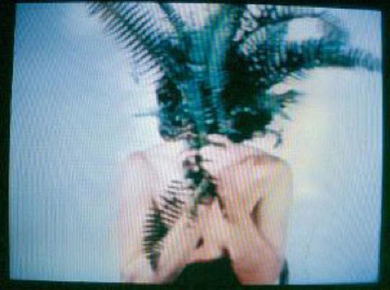 Dennis Oppenheim, 