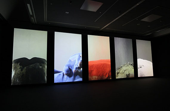 Basic ColorGongxin Wang, 2010, Five-Screeen Video Installation© Gongxin Wang