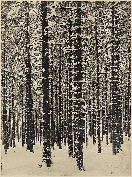 Renger-Patzsch, Albert1897 W&uuml;rzburg - 1966 Wamel"Gebirgsforst". 1926. Vintage. Gelatin silver print14,000 &ndash; 18,000 &euro;