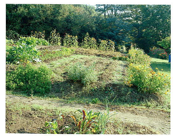 Gem&uuml;sebeet mit Blumeneinfassung, Cravanche, Territoire de Belfort 2004&copy; Simone Nieweg