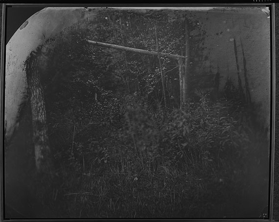 Sally Mann: Untitled (Wilderness #31), 2002© Sally Mann. Courtsey Robert Bayer, Bildpunkt AG Basel / Galerie Karsten Greve AG St. Moritz