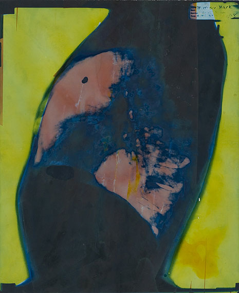 Mark MorrisroeUntitled, 1988Silbergelatine-Abzug, Fotogramm von Röntgenbild, koloriert, 43.3 x 35.5 cm© Nachlass Mark Morrisroe (Sammlung Ringier) im Fotomuseum Winterthur