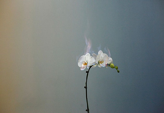 courtesy m97 gallery © jiang zhi 2011