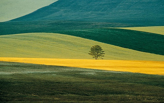 © Franco Fontana. Basilicata, 1978