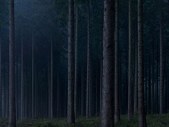 Michael LangeMythos Wald #2016