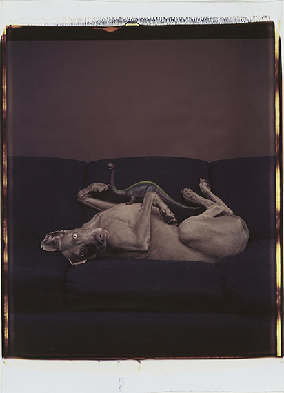 William WegmanUntitled1988, Polaroid Polacolor20 x 24''© William Wegman