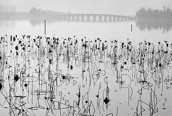 Former Summer Palace, Dead Lotus Flowers on the Kunming Lake, Beijing, China, 1964 © René Burri / Magnum Photos
